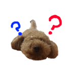 クリちゃんのスタンプ（個別スタンプ：8）
