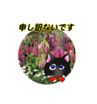 花猫-日常の挨拶（個別スタンプ：5）