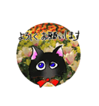 花猫-日常の挨拶（個別スタンプ：6）