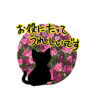 花猫-日常の挨拶（個別スタンプ：11）