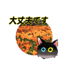 花猫-日常の挨拶（個別スタンプ：15）