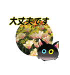 花猫-日常の挨拶（個別スタンプ：16）
