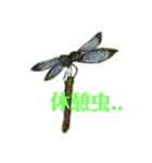 無視出来ない虫達(手書き)（個別スタンプ：4）