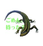 無視出来ない虫達(手書き)（個別スタンプ：5）