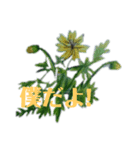 無視出来ない虫達(手書き)（個別スタンプ：6）