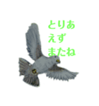 無視出来ない虫達(手書き)（個別スタンプ：8）