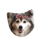milly's2（個別スタンプ：1）
