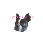 milly's2（個別スタンプ：2）