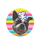 milly's2（個別スタンプ：3）