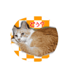 milly's2（個別スタンプ：4）