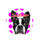 milly's2（個別スタンプ：6）