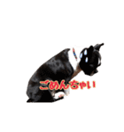 milly's2（個別スタンプ：8）