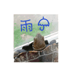 ぼくカメキチ（個別スタンプ：18）