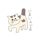 ネコのケンタスタンプ（個別スタンプ：4）