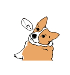 うちのコーギー（かわいい）（個別スタンプ：2）
