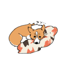 うちのコーギー（かわいい）（個別スタンプ：7）