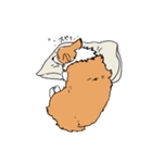 うちのコーギー（かわいい）（個別スタンプ：9）