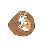 うちのコーギー（かわいい）（個別スタンプ：13）