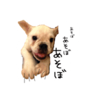 ベルのベー(幼少期)（個別スタンプ：1）