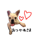 ベルのベー(幼少期)（個別スタンプ：3）