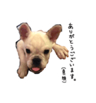 ベルのベー(幼少期)（個別スタンプ：4）
