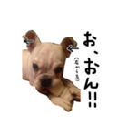 ベルのベー(幼少期)（個別スタンプ：7）