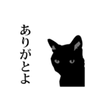黒猫にゃあまの魂のコトダマ（個別スタンプ：40）
