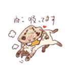 はまぐりさんスタンプ！（個別スタンプ：16）