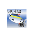 泳げマグロ君（個別スタンプ：3）