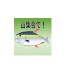 泳げマグロ君（個別スタンプ：5）