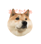 ムズスタンプ（個別スタンプ：2）