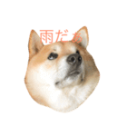 ムズスタンプ（個別スタンプ：6）