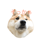 ムズスタンプ（個別スタンプ：7）