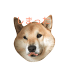 ムズスタンプ（個別スタンプ：10）