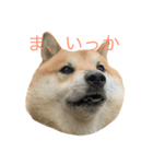 ムズスタンプ（個別スタンプ：14）