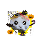 猫ースタンプ 「モンプチッチン ショップ」（個別スタンプ：3）