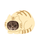 猫ースタンプ 「モンプチッチン ショップ」（個別スタンプ：8）
