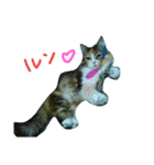 フレンチねこシピ（個別スタンプ：14）