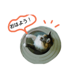 フレンチねこシピ（個別スタンプ：23）