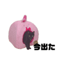 柴犬＆黒猫スタンプ（個別スタンプ：2）