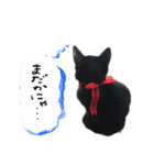 黒猫のジジさん（個別スタンプ：3）