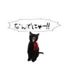 黒猫のジジさん（個別スタンプ：6）