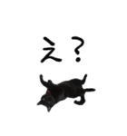 黒猫のジジさん（個別スタンプ：7）