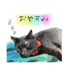 黒猫のジジさん（個別スタンプ：8）