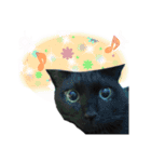 黒猫のジジさん（個別スタンプ：15）