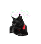 黒猫のジジさん（個別スタンプ：16）