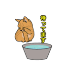釣りきち君の魚釣りスタンプ①です。（個別スタンプ：15）