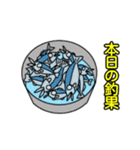 釣りきち君の魚釣りスタンプ①です。（個別スタンプ：24）