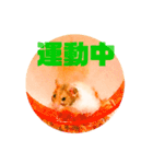 ゴルハムのちくわ（個別スタンプ：5）