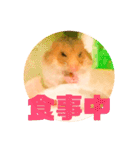 ゴルハムのちくわ（個別スタンプ：6）